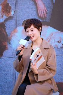 娱乐爆料孙俪,揭秘她的生活点滴与演艺事业  第1张